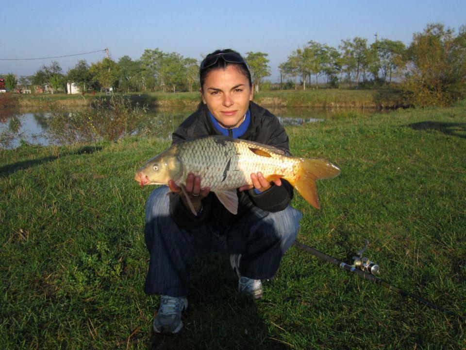 2012-2013 - 1555754424397000771730753869n.jpg